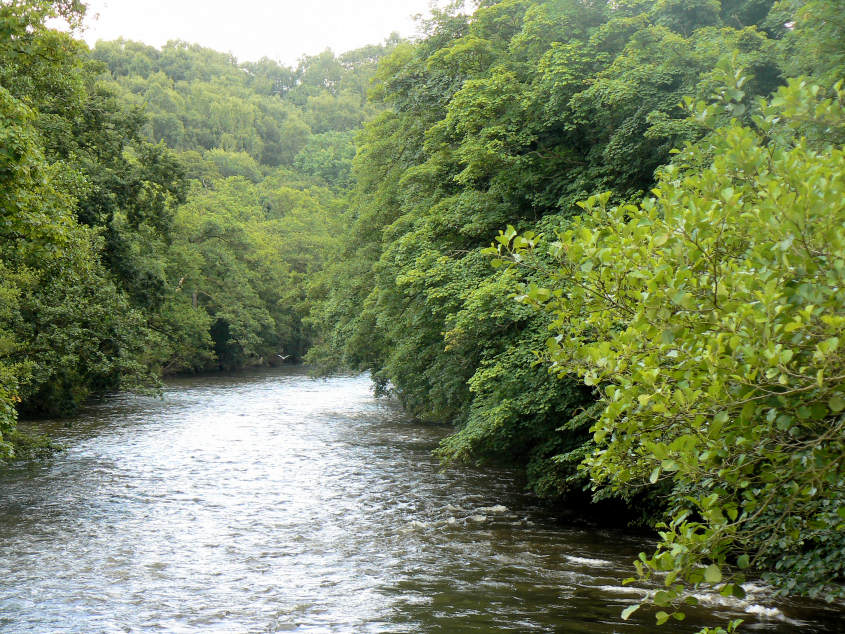River Derwent River Derwent